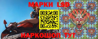 a pvp Краснодар